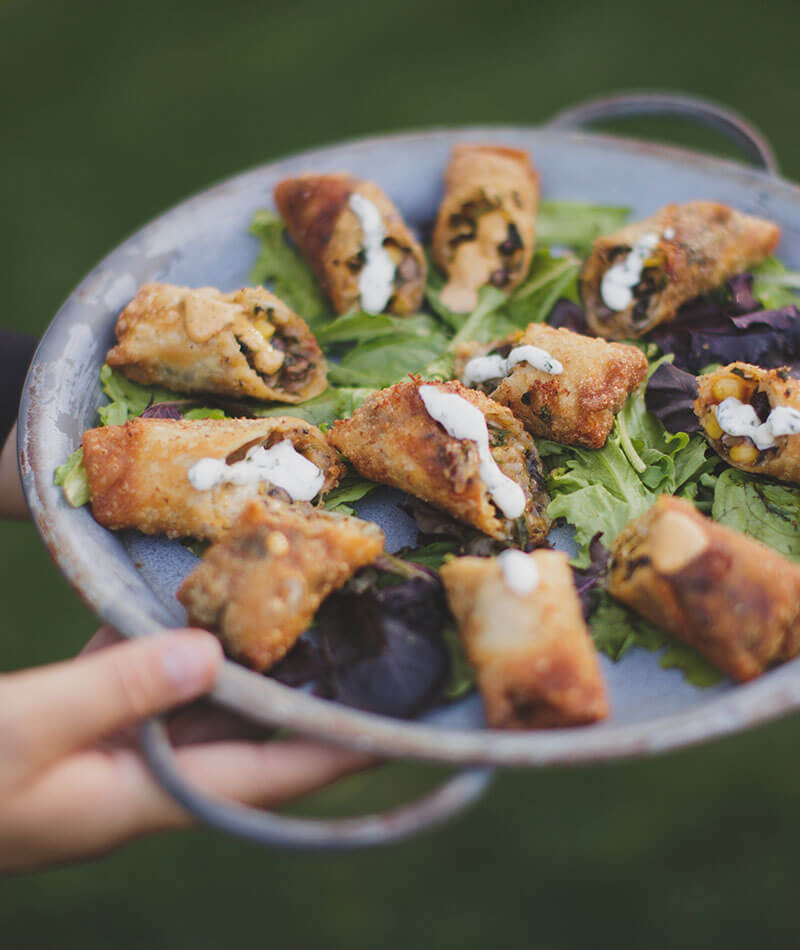 View More: http://suzijacobs.pass.us/shaynekenny